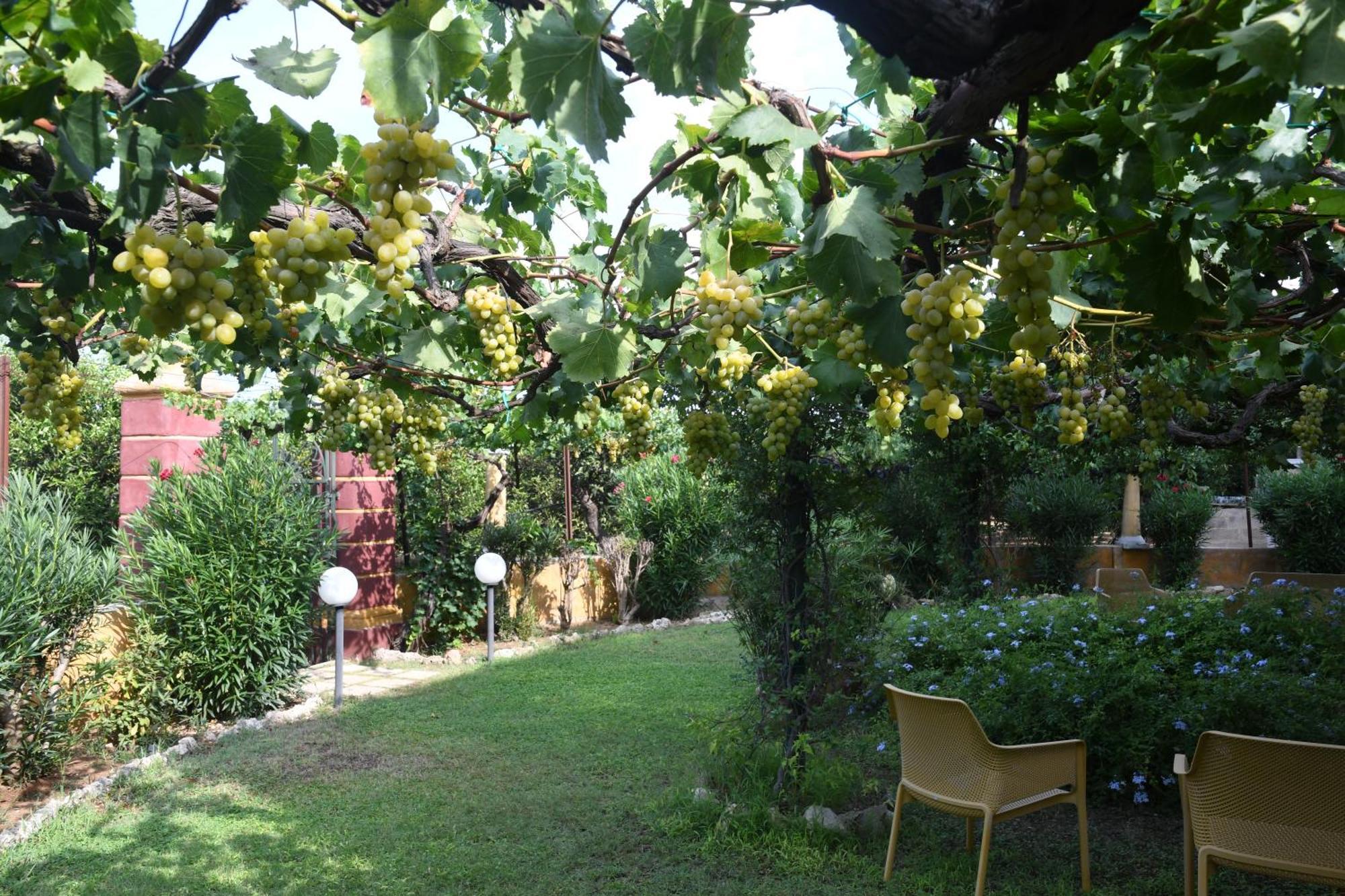 Villarancia Alezio Exterior photo